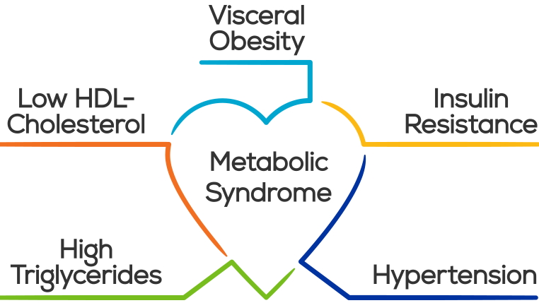 Metabolic Syndrome diagram